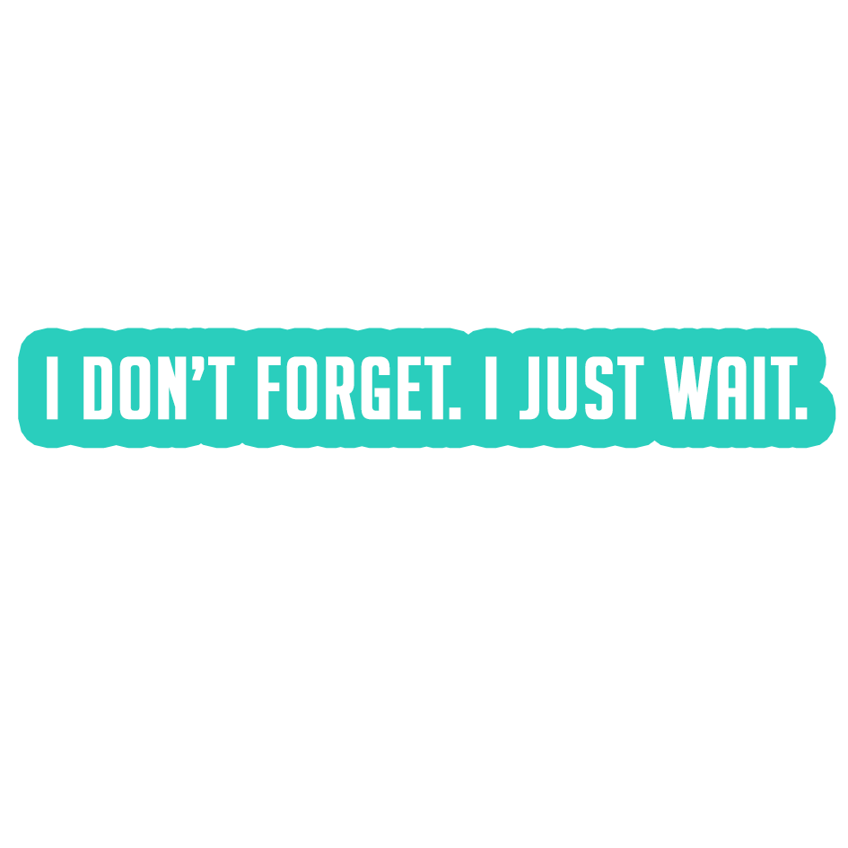 Sarcastic Sticker – I Dont Forget I Just Wait | WhimsyWoven