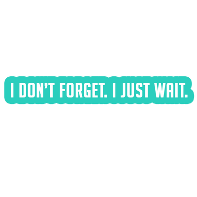 Sarcastic Sticker – I Dont Forget I Just Wait | WhimsyWoven